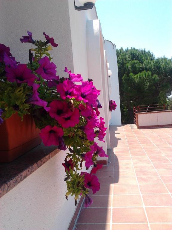 B&B Masseria Nova Torre San Giovanni Ugento Eksteriør bilde